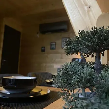 Bambusz-kabin * Bárdudvarnok