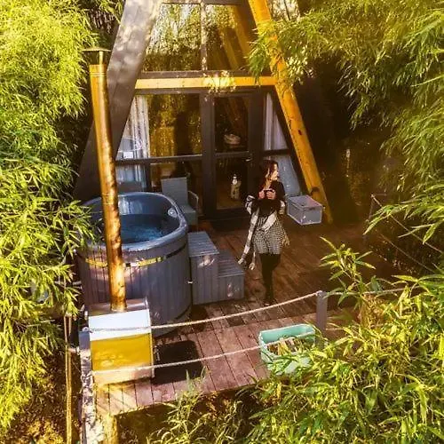 Bambusz-kabin * Bárdudvarnok